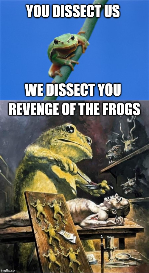 YOU DISSECT US; WE DISSECT YOU | image tagged in angry frog,gross | made w/ Imgflip meme maker