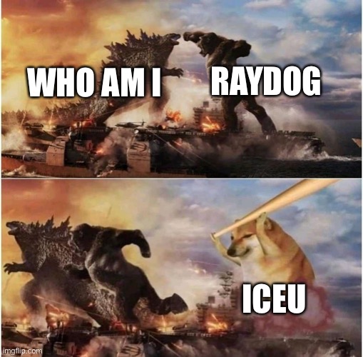 Meme that someone made a while ago | RAYDOG; WHO AM I; ICEU | image tagged in kong godzilla doge | made w/ Imgflip meme maker