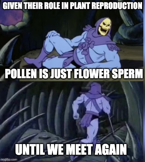 No wonder some people are allergic | GIVEN THEIR ROLE IN PLANT REPRODUCTION; POLLEN IS JUST FLOWER SPERM; UNTIL WE MEET AGAIN | image tagged in skeltor facts,flower,memes | made w/ Imgflip meme maker