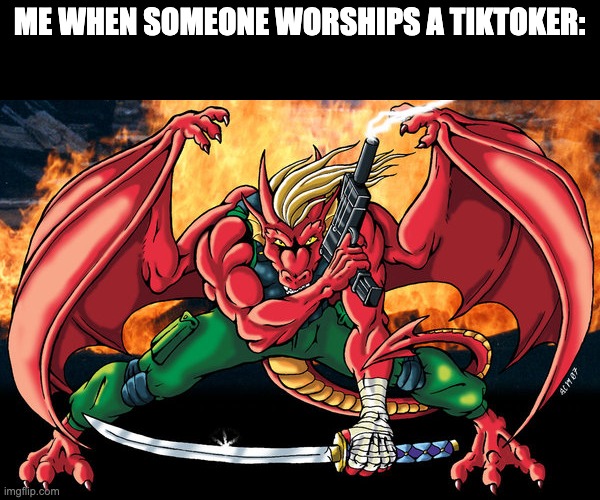 action hero dragon | ME WHEN SOMEONE WORSHIPS A TIKTOKER: | image tagged in action hero dragon | made w/ Imgflip meme maker