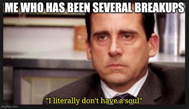 irritated | ME WHO HAS BEEN SEVERAL BREAKUPS "I literally don't have a soul" | image tagged in irritated | made w/ Imgflip meme maker