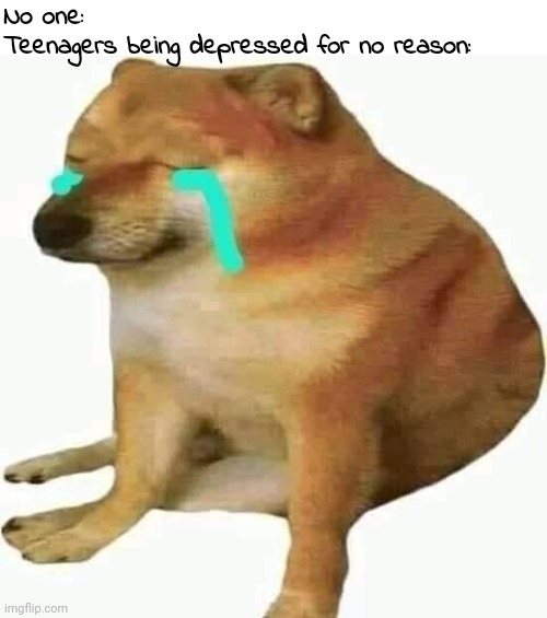 cheems crying | No one:
Teenagers being depressed for no reason: | image tagged in cheems crying | made w/ Imgflip meme maker