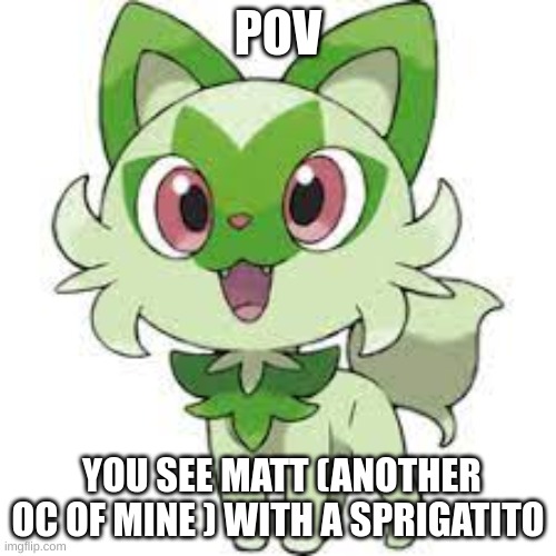 sprigatito is so fricking cute! | POV; YOU SEE MATT (ANOTHER OC OF MINE ) WITH A SPRIGATITO | image tagged in sprigatito,weed cat | made w/ Imgflip meme maker