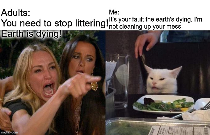 Woman Yelling At Cat | Adults:
You need to stop littering! Earth is dying! Me:
It's your fault the earth's dying. I'm not cleaning up your mess | image tagged in memes,woman yelling at cat | made w/ Imgflip meme maker