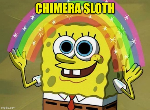 Imagination Spongebob Meme | CHIMERA SLOTH | image tagged in memes,imagination spongebob | made w/ Imgflip meme maker