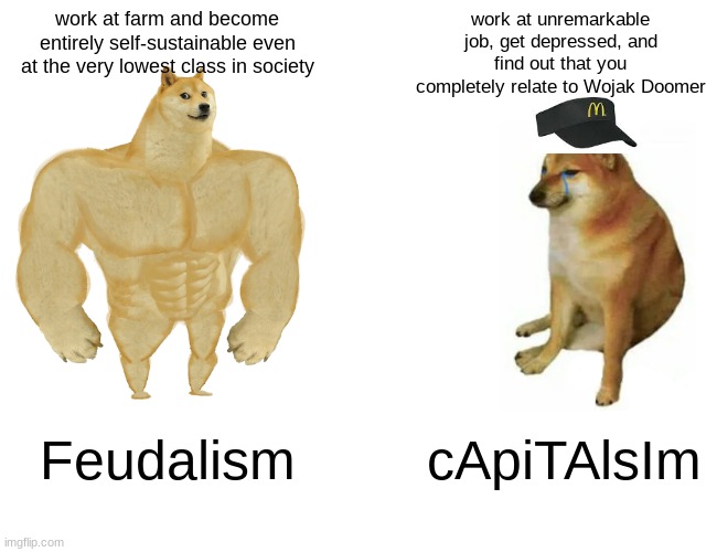 Buff Doge vs. Cheems | work at farm and become entirely self-sustainable even at the very lowest class in society; work at unremarkable job, get depressed, and find out that you completely relate to Wojak Doomer; Feudalism; cApiTAlsIm | image tagged in memes,buff doge vs cheems | made w/ Imgflip meme maker