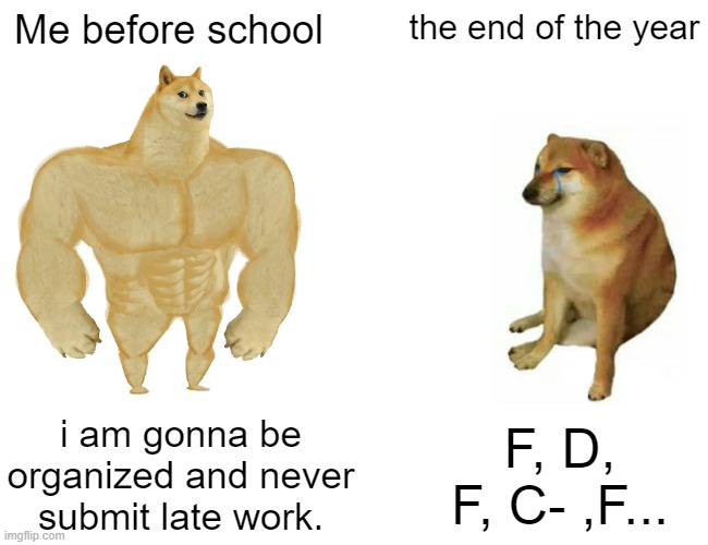 [cleaver title] | Me before school; the end of the year; i am gonna be organized and never submit late work. F, D, F, C- ,F... | image tagged in memes,buff doge vs cheems | made w/ Imgflip meme maker