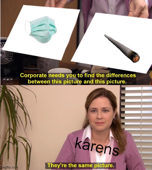 [insert title name] | karens | image tagged in memes,they're the same picture | made w/ Imgflip meme maker