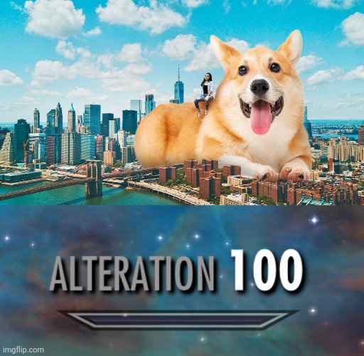 Gigantic dog in the city photoshop | image tagged in alteration 100,dogs,dog,photoshop,memes,meme | made w/ Imgflip meme maker
