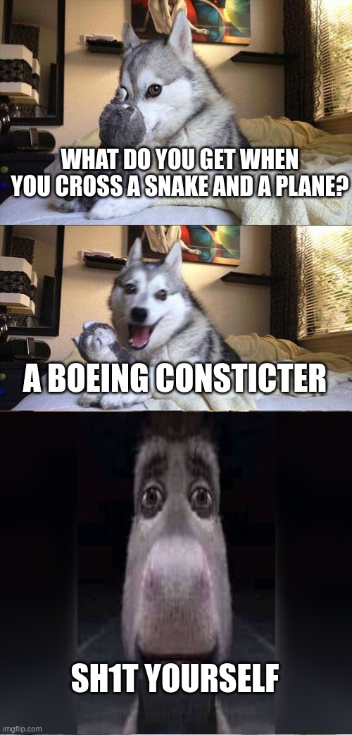 Bad Pun Dog | WHAT DO YOU GET WHEN YOU CROSS A SNAKE AND A PLANE? A BOEING CONSTICTER; SH1T YOURSELF | image tagged in memes,bad pun dog | made w/ Imgflip meme maker