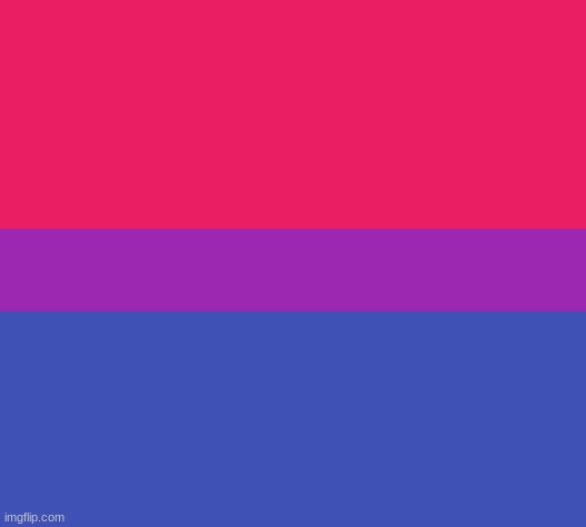 Day 5-6 of drawling Pride Flags! This flag: Bixsexual | made w/ Imgflip meme maker