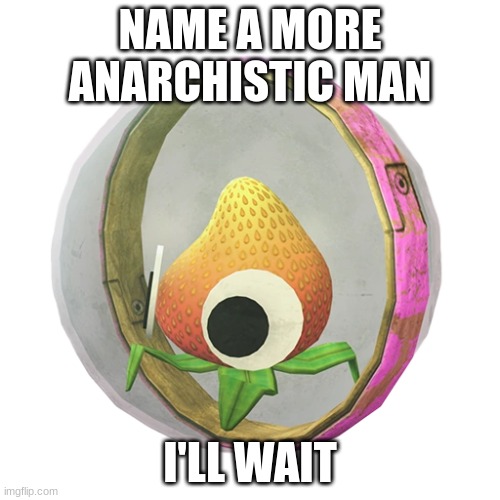 reasons in the comments | NAME A MORE ANARCHISTIC MAN; I'LL WAIT | made w/ Imgflip meme maker