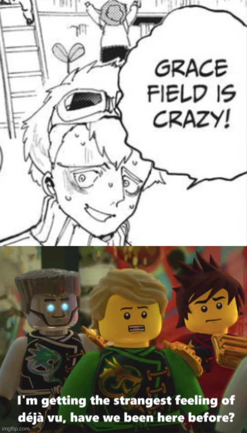 yes | image tagged in deja vu ninjago | made w/ Imgflip meme maker