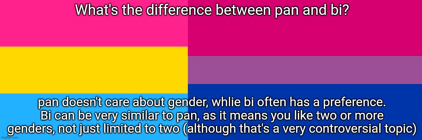 Please correct me if I'm wrong, but this is what I understand the difference to be. | What's the difference between pan and bi? pan doesn't care about gender, whlie bi often has a preference. Bi can be very similar to pan, as it means you like two or more genders, not just limited to two (although that's a very controversial topic) | image tagged in pansexual flag,bi flag | made w/ Imgflip meme maker