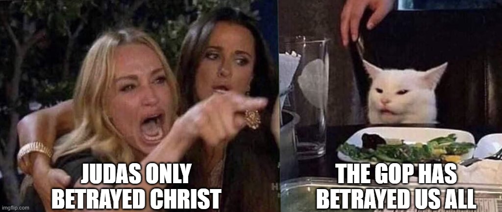 woman yelling at cat | JUDAS ONLY BETRAYED CHRIST; THE GOP HAS BETRAYED US ALL | image tagged in woman yelling at cat | made w/ Imgflip meme maker
