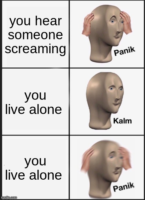 Panik Kalm Panik Meme | you hear someone screaming; you live alone; you live alone | image tagged in memes,panik kalm panik | made w/ Imgflip meme maker