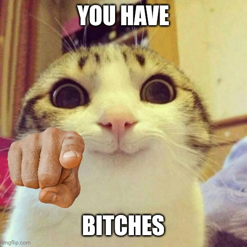 Smiling Cat Meme | YOU HAVE BITCHES | image tagged in memes,smiling cat | made w/ Imgflip meme maker