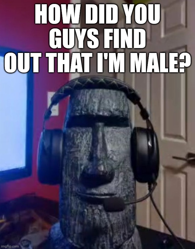 Moai gaming | HOW DID YOU GUYS FIND OUT THAT I'M MALE? | image tagged in moai gaming | made w/ Imgflip meme maker