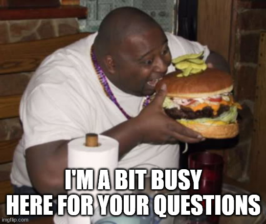 Fat guy eating burger | I'M A BIT BUSY HERE FOR YOUR QUESTIONS | image tagged in fat guy eating burger | made w/ Imgflip meme maker