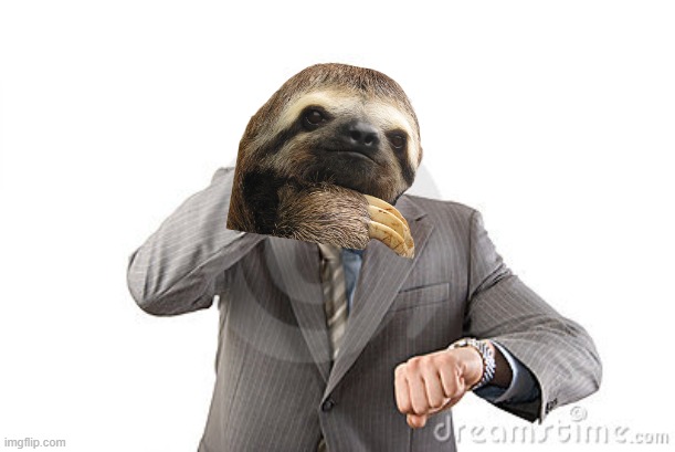 High Quality Sloth in a hurry Blank Meme Template