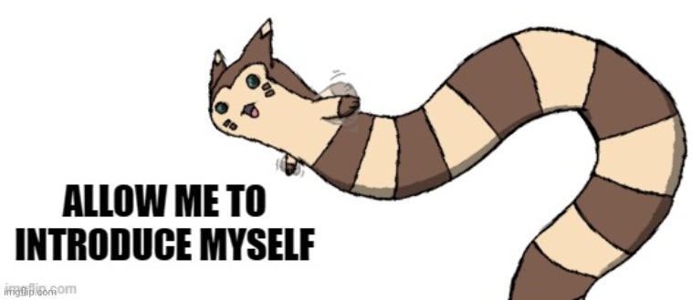 Furret allow me to introduce myself | image tagged in furret allow me to introduce myself | made w/ Imgflip meme maker