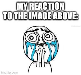 Aww | MY REACTION TO THE IMAGE ABOVE: | image tagged in aww | made w/ Imgflip meme maker