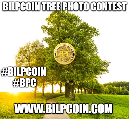 BILPCOIN TREE PHOTO CONTEST; #BILPCOIN 
#BPC; WWW.BILPCOIN.COM | made w/ Imgflip meme maker
