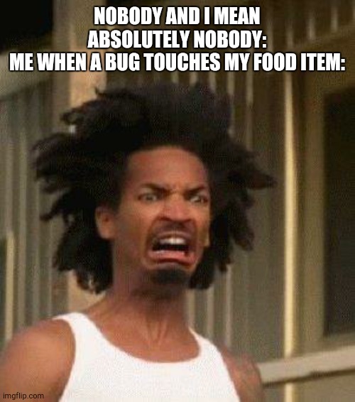 anyone????? | NOBODY AND I MEAN ABSOLUTELY NOBODY:
ME WHEN A BUG TOUCHES MY FOOD ITEM: | image tagged in disgusted face | made w/ Imgflip meme maker