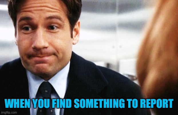 https://imgflip.com/i/6ihnuy | WHEN YOU FIND SOMETHING TO REPORT | image tagged in fox mulder | made w/ Imgflip meme maker