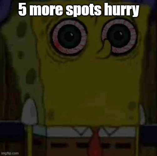 5 more spots hurry | image tagged in spongebob bootleg | made w/ Imgflip meme maker