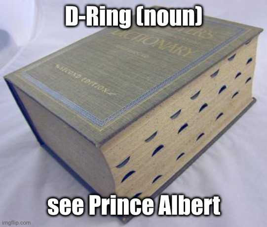 Don't even ask about the V-Ring | D-Ring (noun); see Prince Albert | image tagged in dictionary | made w/ Imgflip meme maker