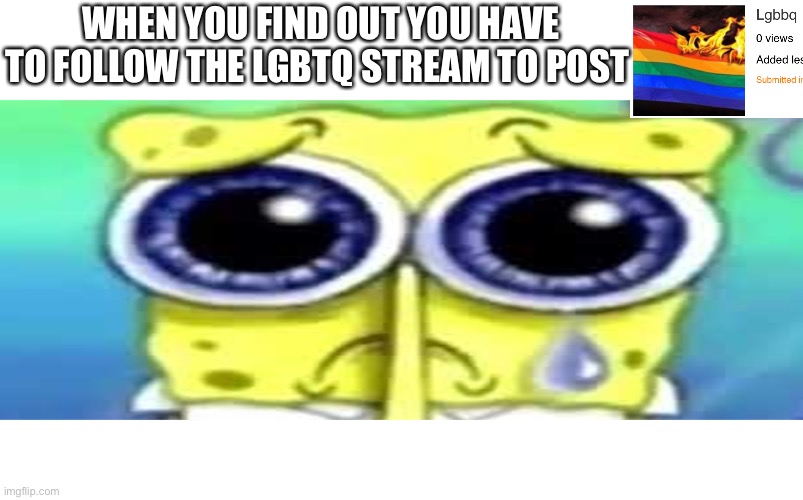 WHEN YOU FIND OUT YOU HAVE TO FOLLOW THE LGBTQ STREAM TO POST | image tagged in sad spong | made w/ Imgflip meme maker