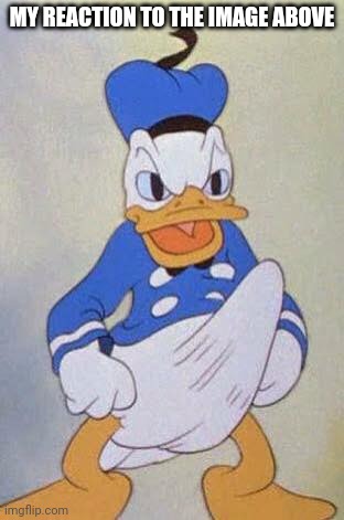 Horny Donald Duck | MY REACTION TO THE IMAGE ABOVE | image tagged in horny donald duck | made w/ Imgflip meme maker