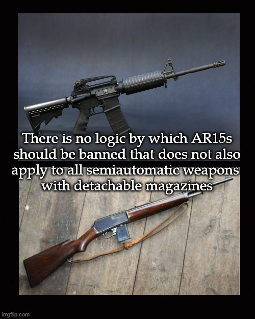 There is no logic by which AR15s should be banned | There is no logic by which AR15s
should be banned that does not also
apply to all semiautomatic weapons 
with detachable magazines | image tagged in ar15,semiautomatic weapons,the 2nd amendment | made w/ Imgflip meme maker