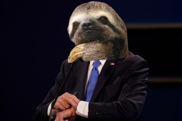 Sloth Joe Biden watch Blank Meme Template