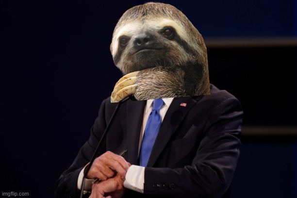 Sloth Joe Biden watch | image tagged in sloth joe biden watch | made w/ Imgflip meme maker