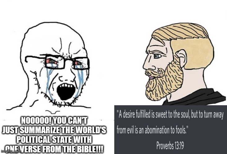 Chad has spoken | NOOOOO! YOU CAN'T JUST SUMMARIZE THE WORLD'S POLITICAL STATE WITH ONE VERSE FROM THE BIBLE!!! | image tagged in soyboy vs yes chad,jesus,proverb,evil,abomination | made w/ Imgflip meme maker