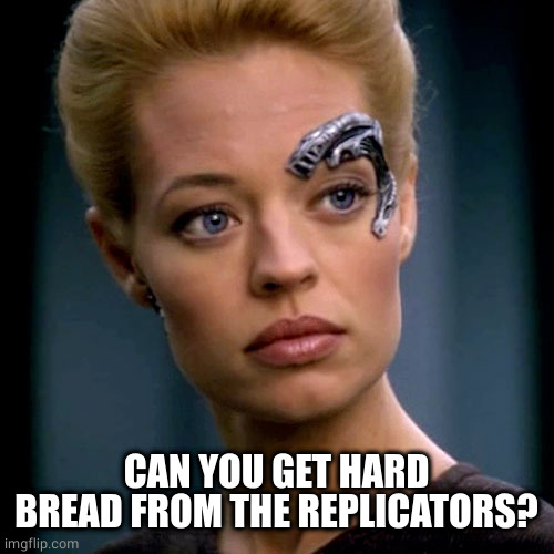 Seven of Nine Serious | CAN YOU GET HARD BREAD FROM THE REPLICATORS? | image tagged in seven of nine serious | made w/ Imgflip meme maker