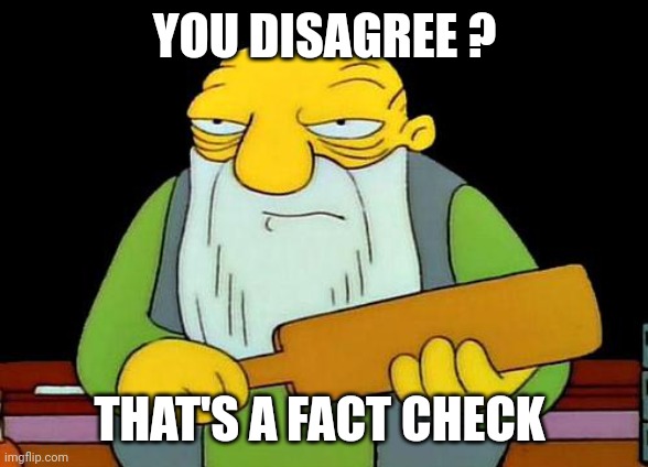 That's a paddlin' Meme | YOU DISAGREE ? THAT'S A FACT CHECK | image tagged in memes,that's a paddlin' | made w/ Imgflip meme maker