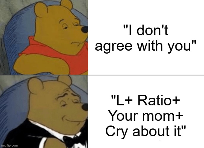 Communication 100 | "I don't agree with you"; "L+ Ratio+ Your mom+ Cry about it" | image tagged in memes,tuxedo winnie the pooh | made w/ Imgflip meme maker