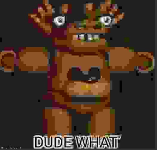 dude what | image tagged in dude what | made w/ Imgflip meme maker