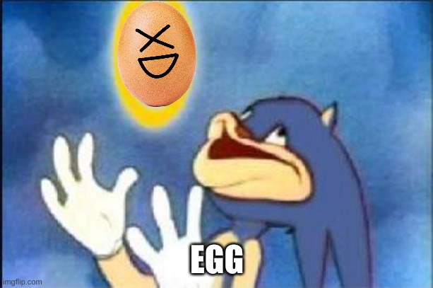 Sonic derp | EGG | image tagged in sonic derp | made w/ Imgflip meme maker