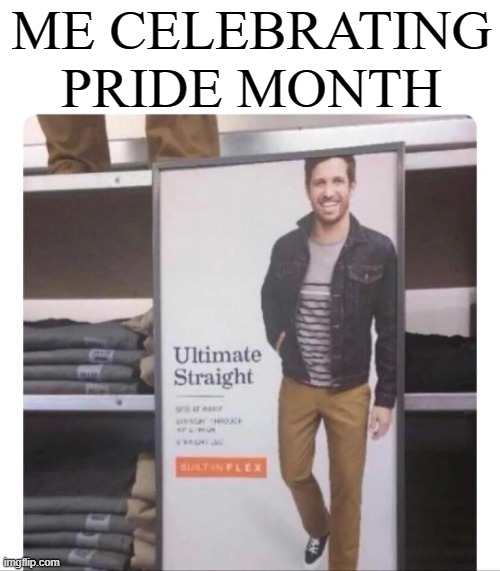 I am proud of being straight. From what the media reports I am a minority now. |  ME CELEBRATING PRIDE MONTH | image tagged in pride month | made w/ Imgflip meme maker