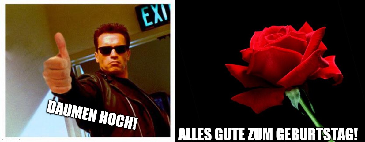  ALLES GUTE ZUM GEBURTSTAG! DAUMEN HOCH! | image tagged in terminator thumbs up,rose | made w/ Imgflip meme maker