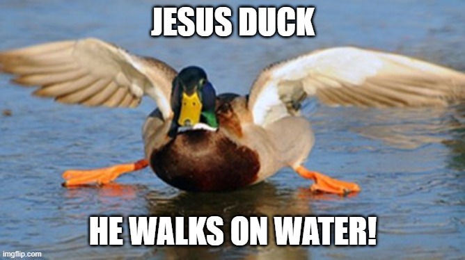 Our Quack and Savior | JESUS DUCK; HE WALKS ON WATER! | image tagged in ducks | made w/ Imgflip meme maker