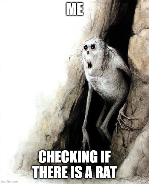 Getting out of cave | ME; CHECKING IF THERE IS A RAT | image tagged in getting out of cave | made w/ Imgflip meme maker