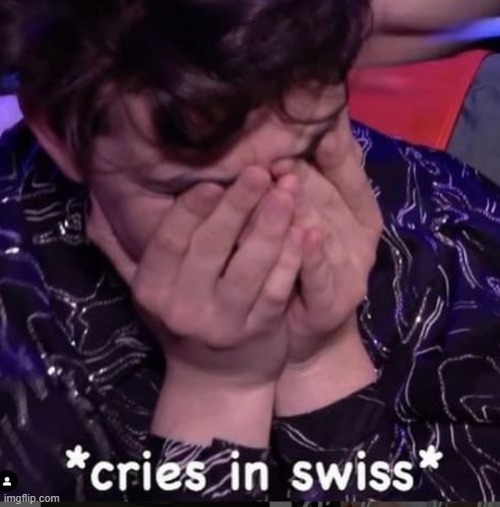 *cries in swiss* | image tagged in cries in swiss | made w/ Imgflip meme maker