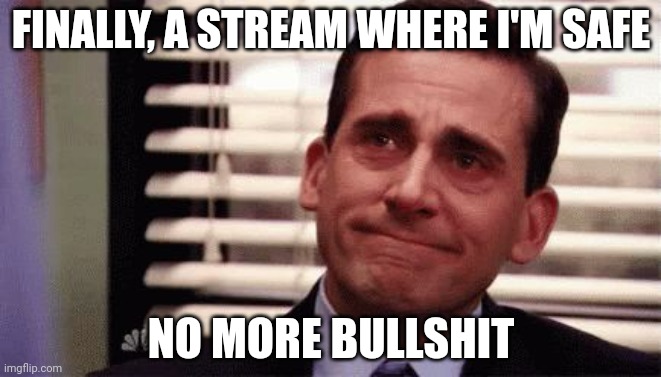 I'm freeeeee |  FINALLY, A STREAM WHERE I'M SAFE; NO MORE BULLSHIT | image tagged in happy cry | made w/ Imgflip meme maker