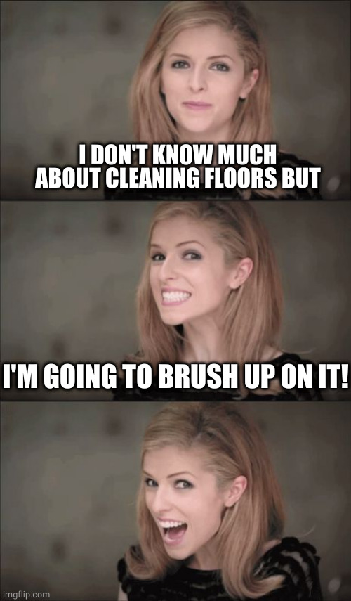 Brush up my knowledge | I DON'T KNOW MUCH ABOUT CLEANING FLOORS BUT; I'M GOING TO BRUSH UP ON IT! | image tagged in memes,bad pun anna kendrick | made w/ Imgflip meme maker