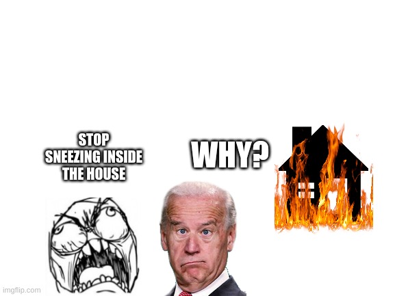 Blank White Template | WHY? STOP SNEEZING INSIDE THE HOUSE | image tagged in blank white template | made w/ Imgflip meme maker